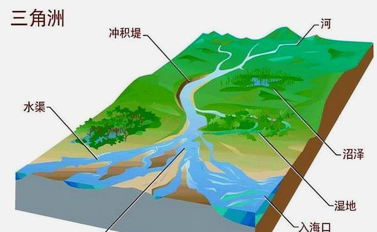 长江在入海口形成崇明岛，为何黄河携大量泥沙，却没形成冲积岛？