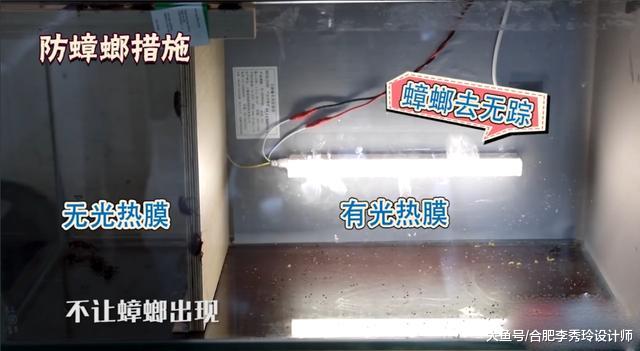 只要在厨房橱柜底部加上一层膜，蟑螂怕光怕热，再也不敢进我家了