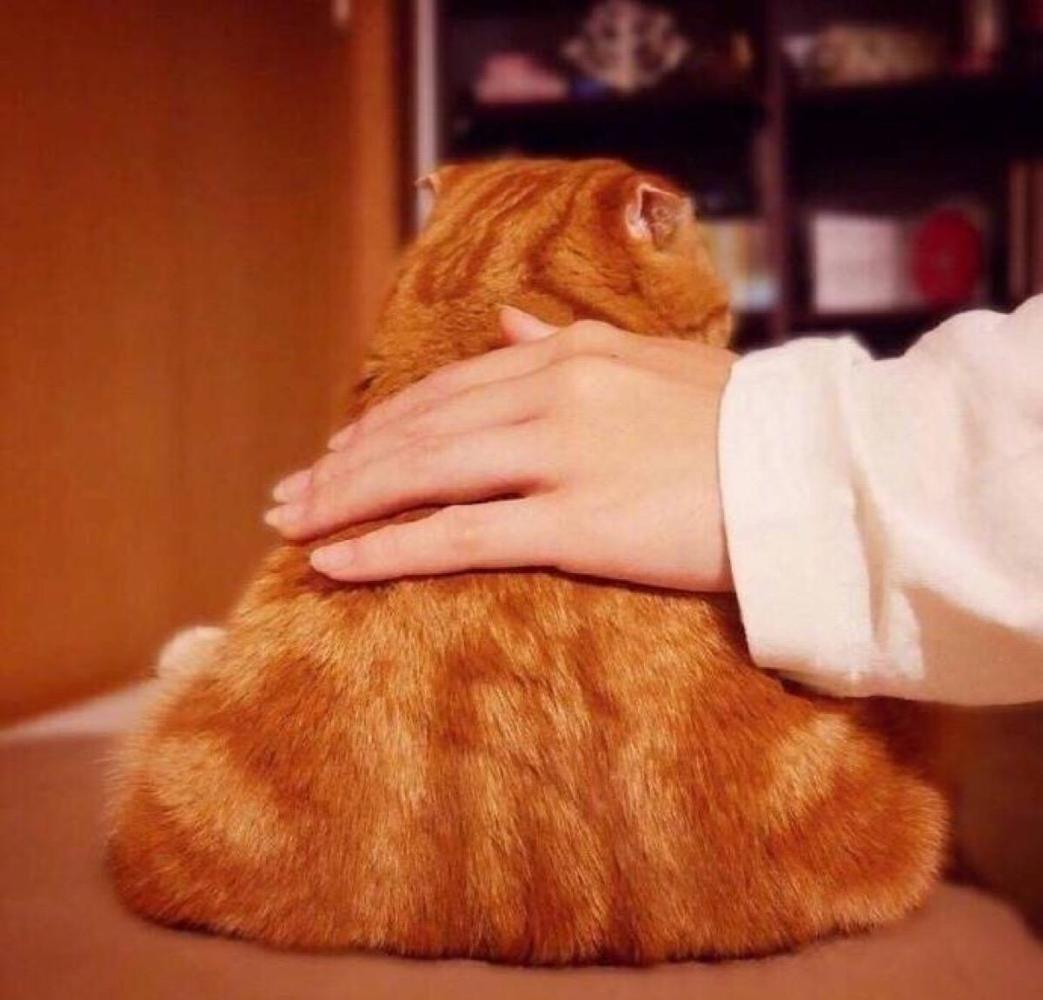 爱和猫咪玩耍的闺女向妈咪哭诉，胳肢窝长个肉瘊子，痒得很难受