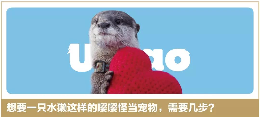 315为喵星人辟谣108条，再轻信，你的脸都要被打肿了吧！