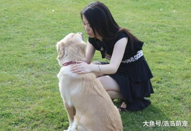 大部分狗狗不会做这五件事，如果你家的会做，说明它智商高很聪明