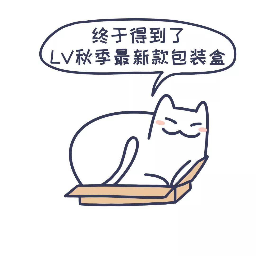猫为什么对纸箱如此着迷？