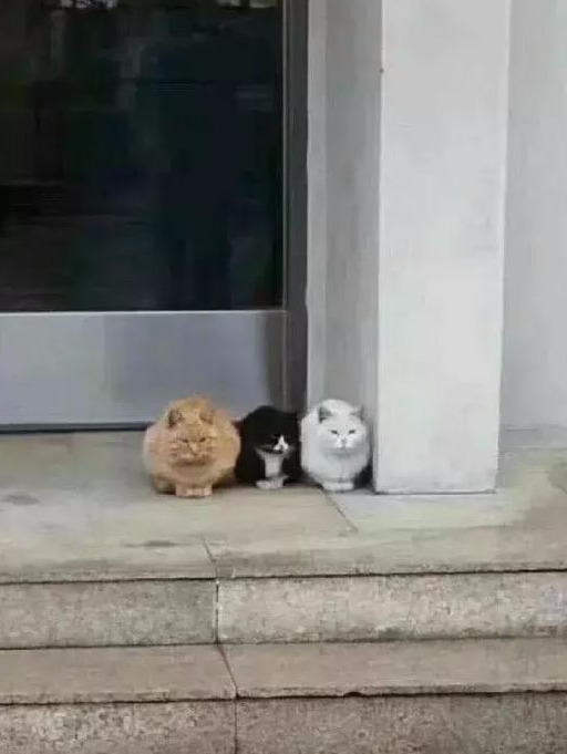 看了我的电脑D盘后，爸妈决定把我踢出家庭群！聊天记录感人...