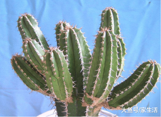 这3种东西可别轻易带回家，有钱人一看就懂，避开才会财运好