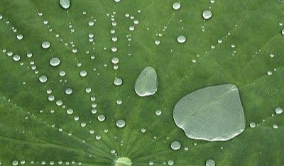 2019年最新超级神器：不怕脏的衣服！国人疯抢，累计销量破千万记录！