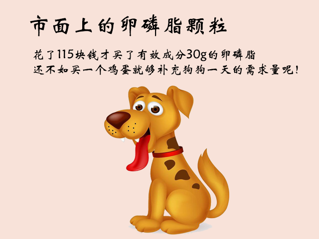 有皮肤病的狗狗，每天一个蛋黄补充卵磷脂，会不会卵磷脂超标？