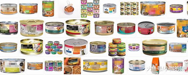 辟谣：猫咪吃越贵的猫粮越好？别只盲目相信品牌
