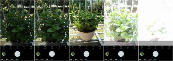 乐Pro3双摄AI版摄影技巧终章—手机拍照也能媲美单反