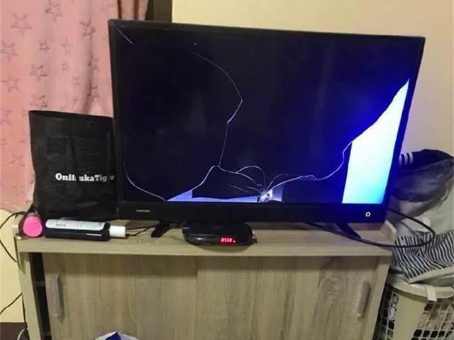 猫咪打落电视机, 主人决定扔猫, 猫咪: 惊不惊喜, 意不意外?