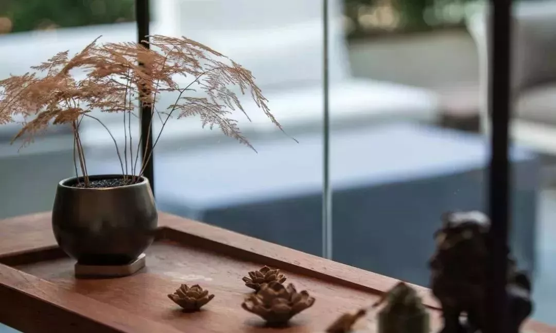 这才是茶室该有的样子，至极至美，极度舒适！