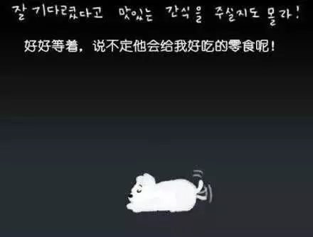 被抛弃的流浪狗，它知道自己被抛弃了吗？