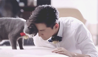 盘点各大明星和宠物之间不得不说的故事！