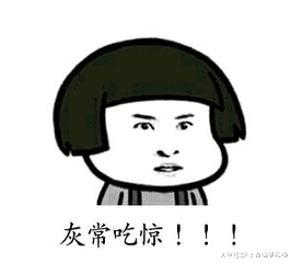 狗狗去学游泳，结果主人却被逗笑了，主人：这里不是澡堂啊