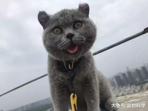 希望你好好的, 我再也不怪你再也不欺负你了