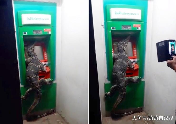 ATM机聚集人群，以为很多人取钱，往前一看，被巨大生物吓到擦汗