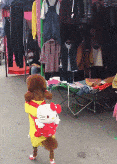 靠狗狗站立来博眼球的博主，都应该拉黑、取关！