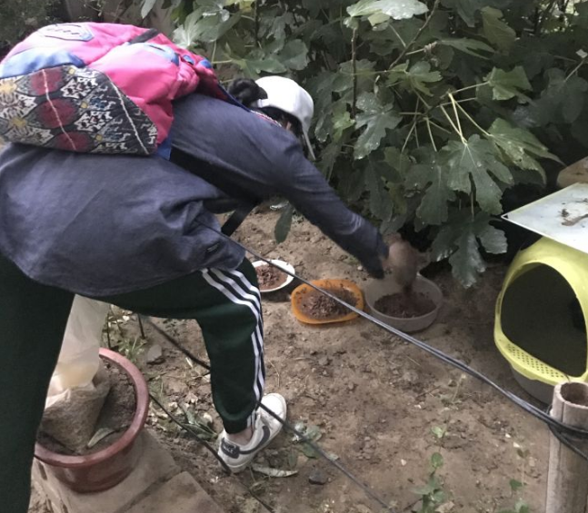 喂流浪猫廉价猫粮, 有错吗?