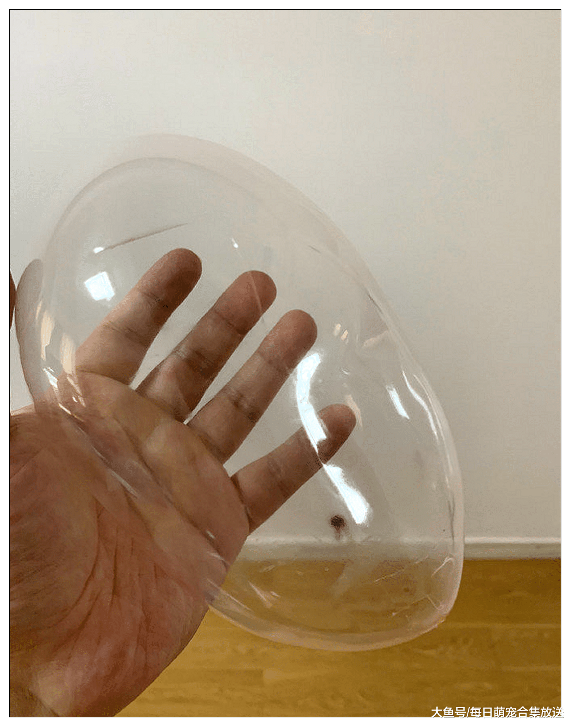 回忆杀之玩过这“东西”的不会还没有对象吧？网友：你又说对了