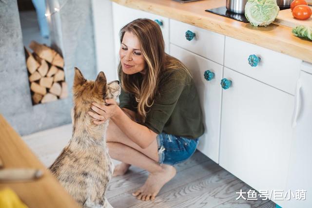 我的狗狗像个跟屁虫，走哪跟到哪，这到底是因为什么