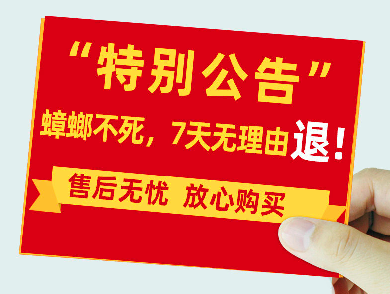 学会这几招，家里再也见不到蟑螂！比杀虫剂还有用！生活我最美