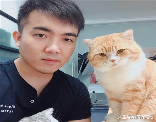 两只英短猫打架，结果大橘被“按头杀”制服，喵：我被封印住了