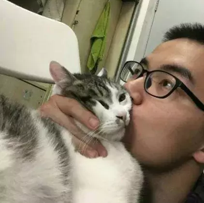 这位主人亲身给网友们示范，千万不要强行亲吻猫，要不然...