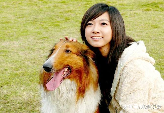 你的狗狗和你不亲近? 了解这几点, 想让狗狗不和女主人亲近都很难!