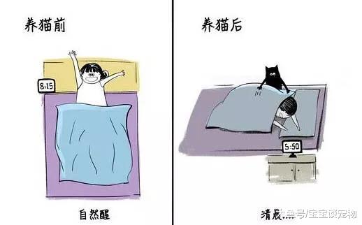 养猫前VS养猫后，要不要这么贴切