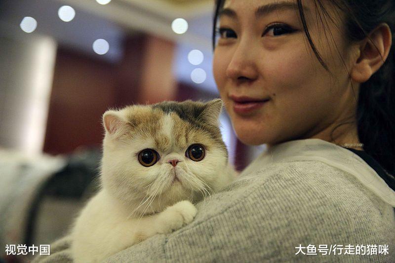 开心, 所以爱玩