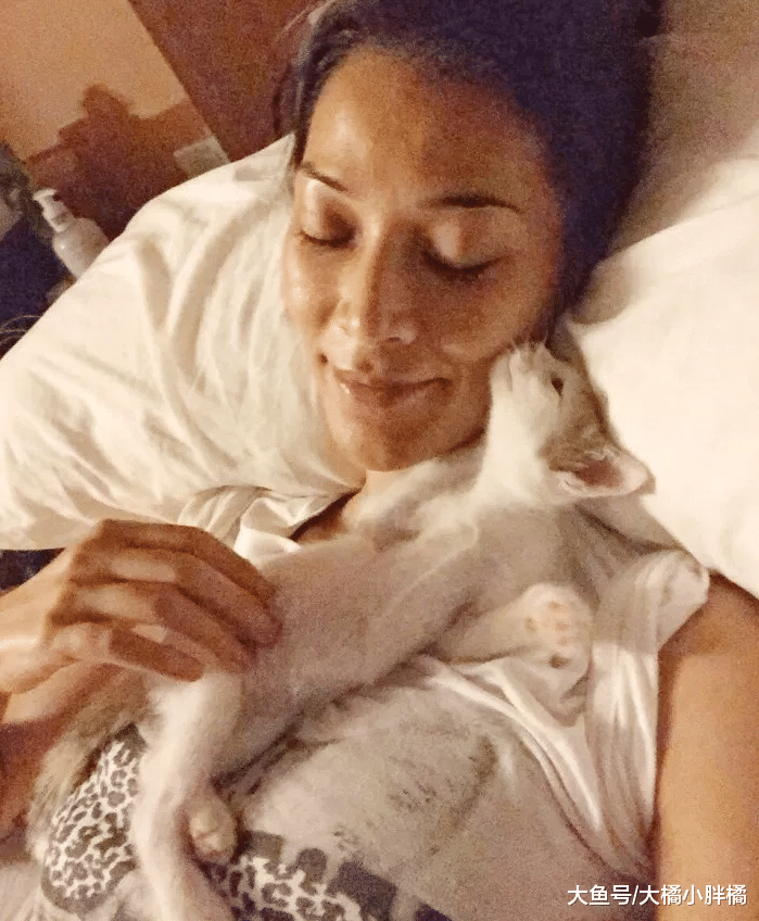 小猫出生那天被抛弃，被救后认为女子是妈妈，撒娇时简直不要太萌