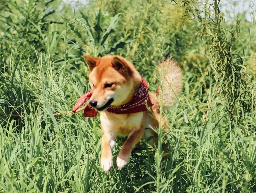 一家三口，住6000平米的房，这也许就是“美好生活”应该有的样子！