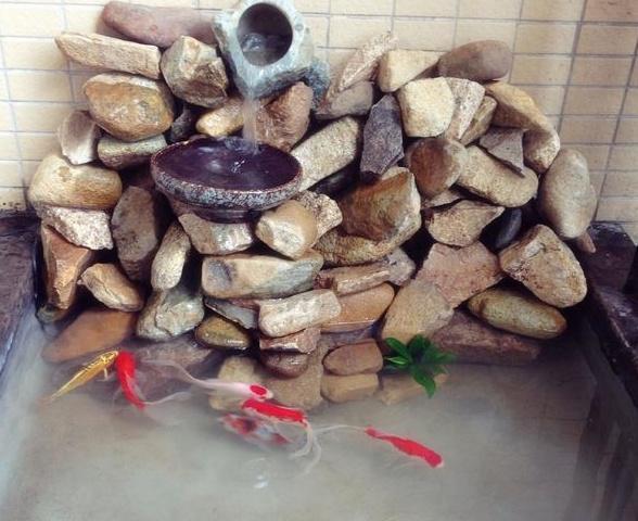 在阳台上砌个鱼池，成本只花200元，亲戚朋友们都眼红了