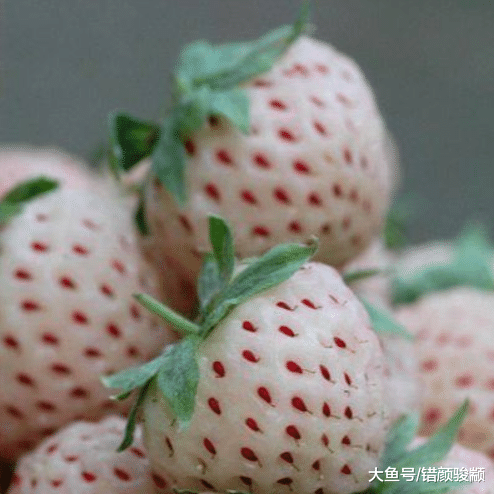 霍思燕給兒子切的水果，您吃過幾種，網友：貧窮限制我的想象力