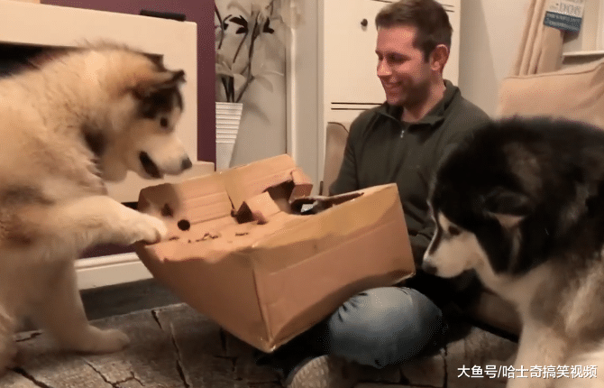 担心“胖儿子”无聊, 小哥做了个道具, 结果用不到几分钟