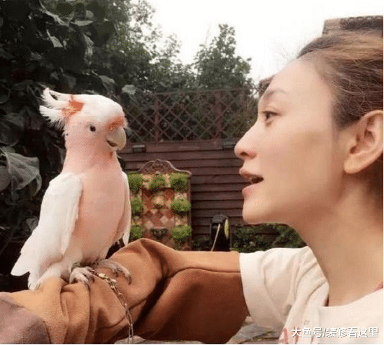 李小冉的豪宅裝修，房子自帶花園，還可以在里面養鳥種花草