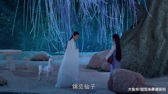 “男主是女主的, 男二是大家的”, 这6位男二号, 你最中意哪一个?