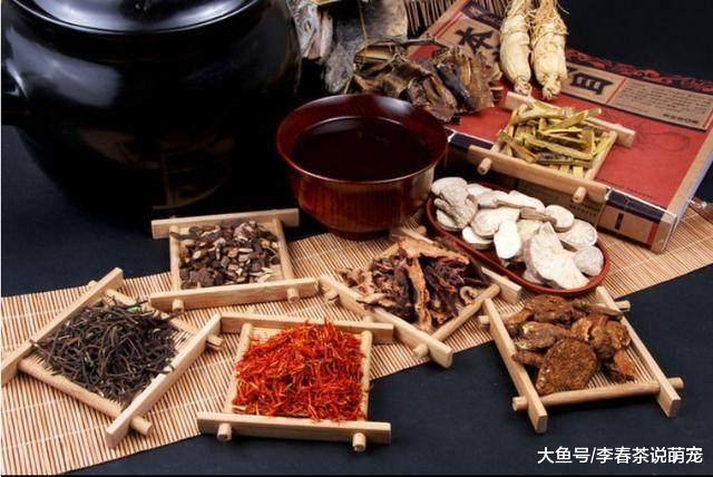 中医真的没落了吗？比较同时期的中西医，西医被虐得体无完肤！