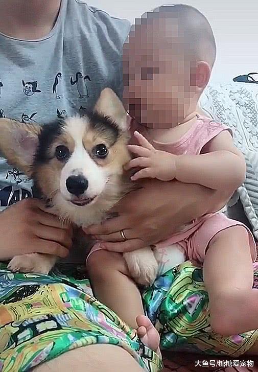 奶汪和小宝贝，你陪我出生我陪你长大，主人：要一起健康的长大哦