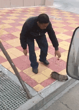 男子用树枝敲打狗, 男子看着感觉不对劲, 网友: 这是古老养狗法