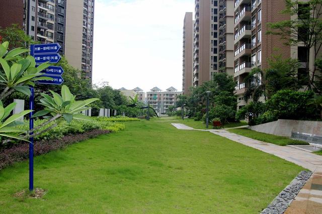 房子都快卖不出去，开发商为何还留着几套房子不出售，其实有内幕