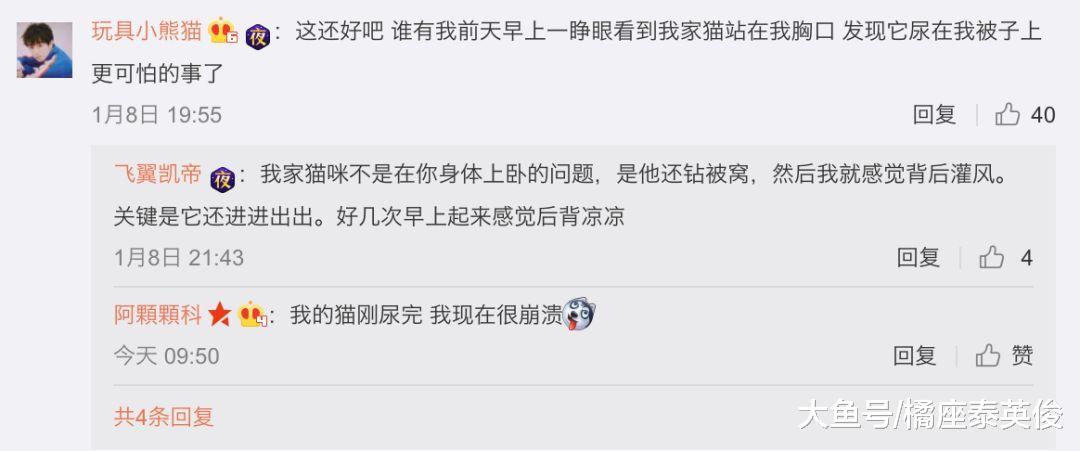 猫咪日常检查铲屎官呼吸操作: 蹲你胸口, 然后在肚子上蹦两下!