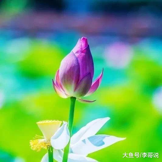 守嘴不惹祸，守心不出错！