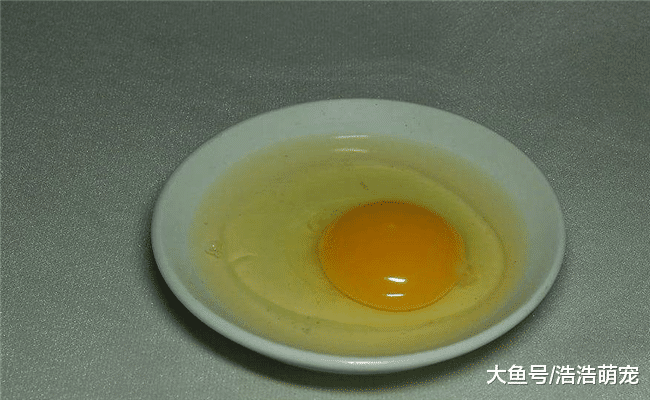 给狗狗吃下面5种食物，能让它的毛变得柔顺又漂亮，你可以试试？