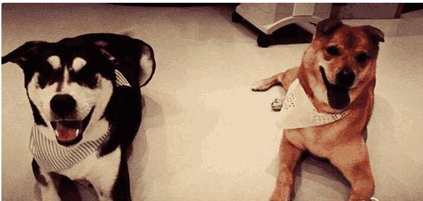 ?参观林忆莲住的豪宅，曾经的歌后，如今住很普通的房子