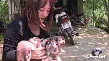 阿拉生了7只宝宝，却被主人用脸盆装着玩，汪：玩够了没？