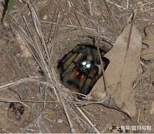 男子发现一个硬币大小的洞口，走进一瞧发现里面冒出金色的光