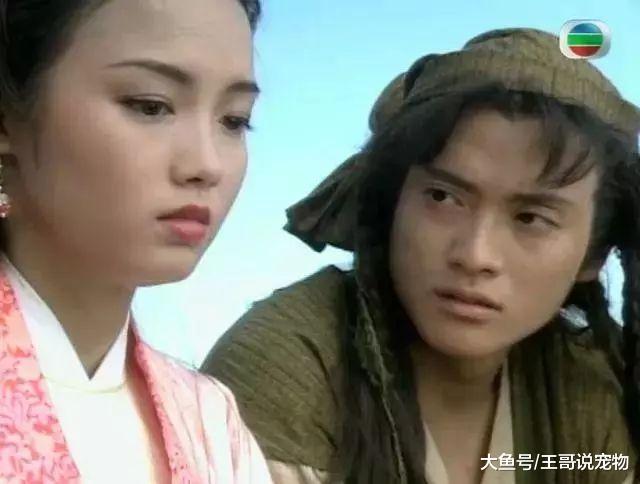 原来这些港剧演员，都是来自内地！