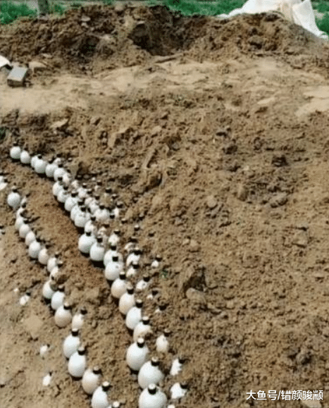 老漢在家里種上幾百瓶白酒，聲稱以后能發財，專家一句話令他樂了