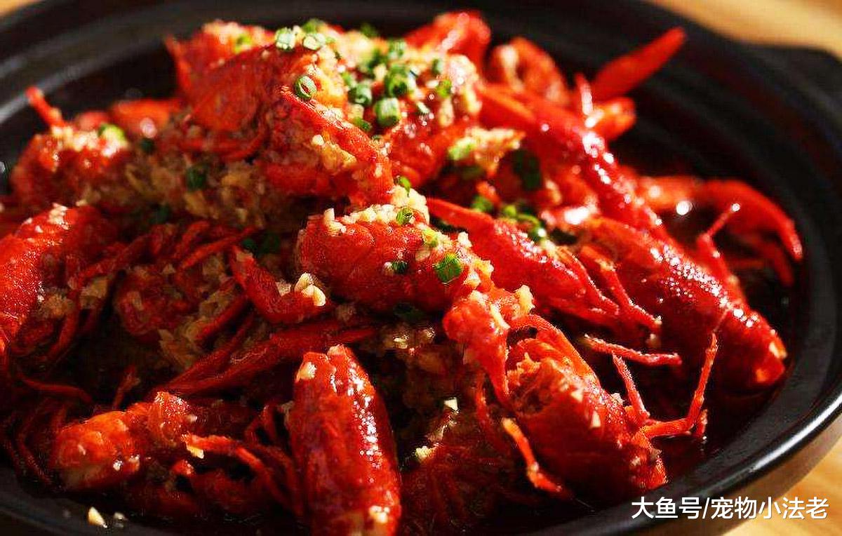 老人自创徒手炒龙虾，66元随便吃，但付了钱后，却都傻眼了！