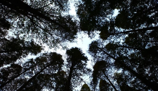 马云直言不要担心买房 曹德旺建议不要买房 只因这三样比房还珍贵